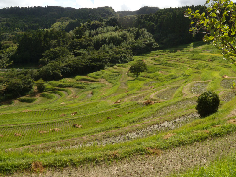 f:id:small_editor:20110917224249j:image:w640