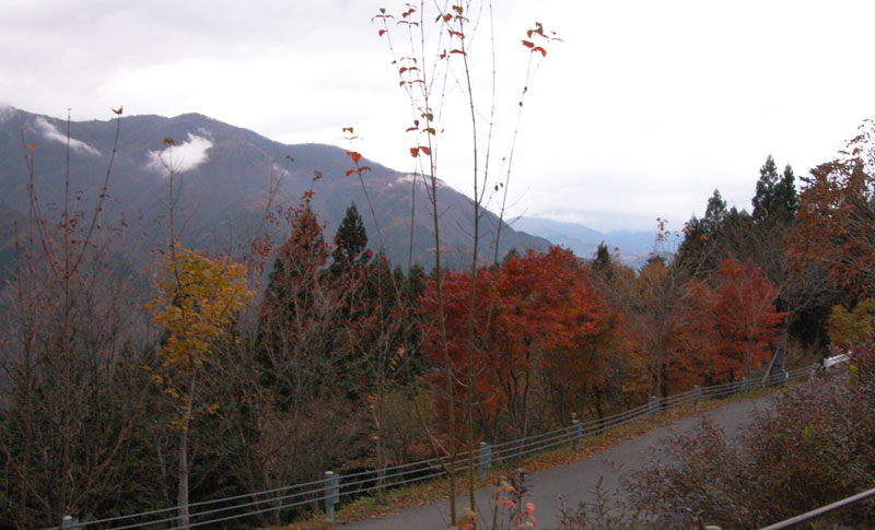 f:id:small_editor:20111113004628j:image:w640