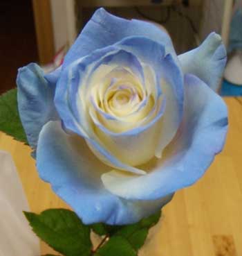 f:id:small_editor:20120314223146j:image