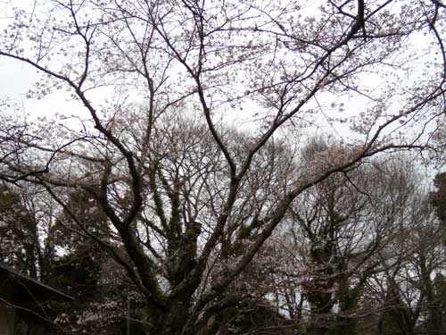 f:id:small_editor:20120407223842j:image f:id:small_editor:20120407223842j:image