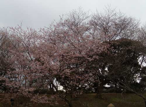 f:id:small_editor:20120407223844j:image f:id:small_editor:20120407223844j:image
