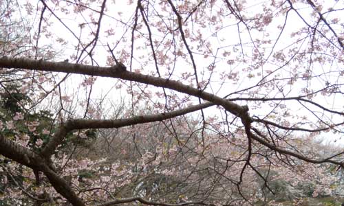 f:id:small_editor:20120407223845j:image f:id:small_editor:20120407223845j:image