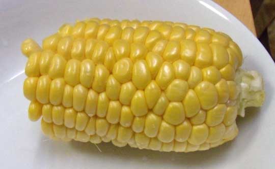 f:id:small_editor:20120624103325j:image