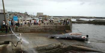 f:id:small_editor:20120820234457j:image