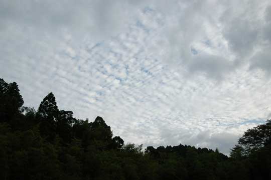 f:id:small_editor:20121016235104j:image