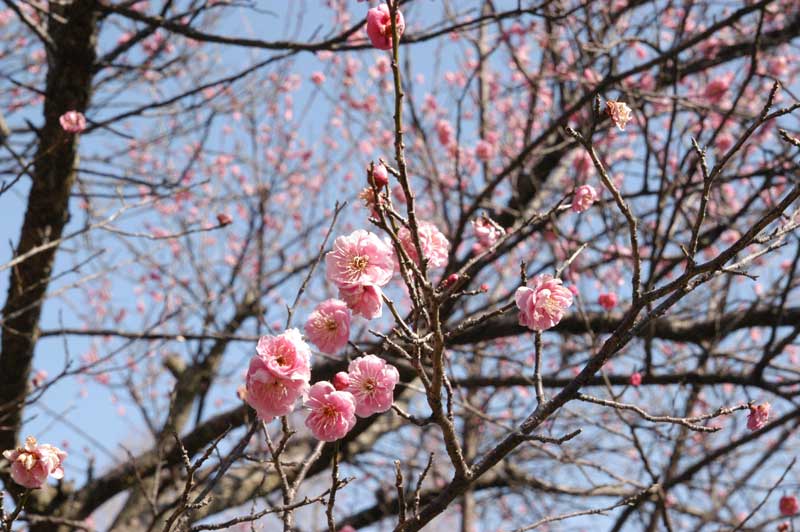 f:id:small_editor:20130225223432j:image