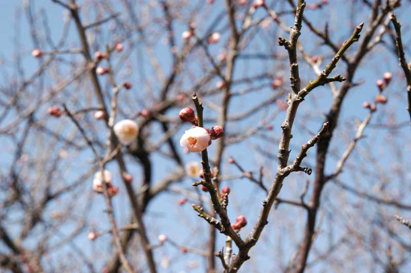 f:id:small_editor:20130225223433j:image