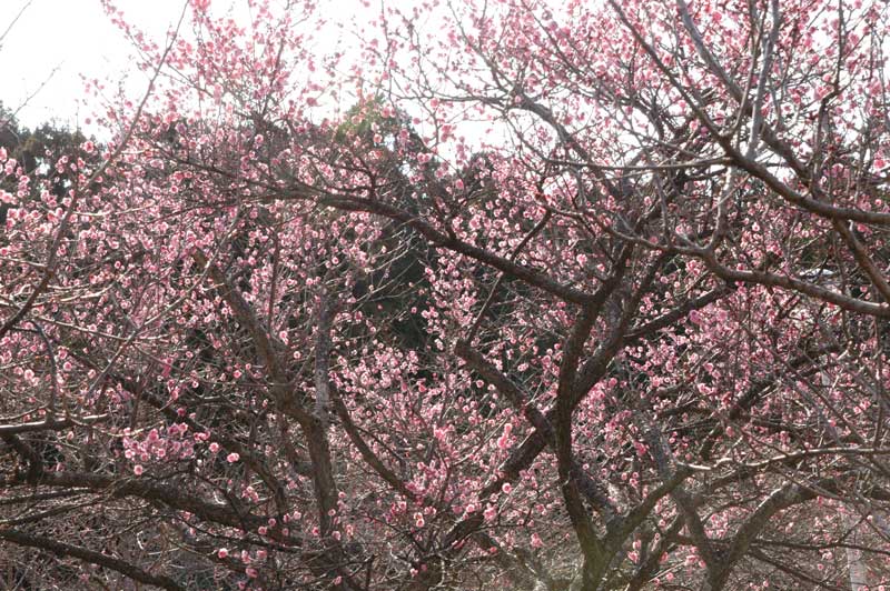 f:id:small_editor:20130225223434j:image
