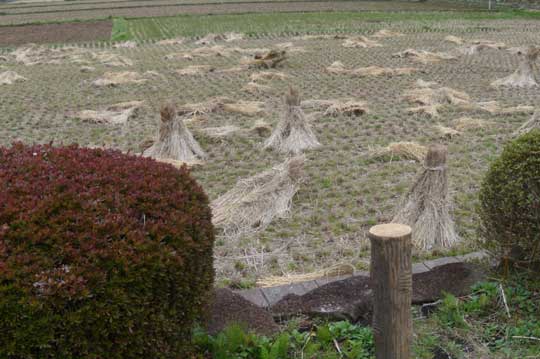 f:id:small_editor:20130403235218j:image f:id:small_editor:20130403235218j:image
