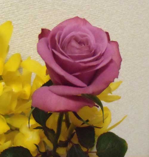 f:id:small_editor:20131224235959j:image