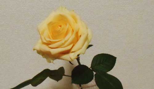 f:id:small_editor:20140216233249j:image