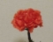 20140316235126