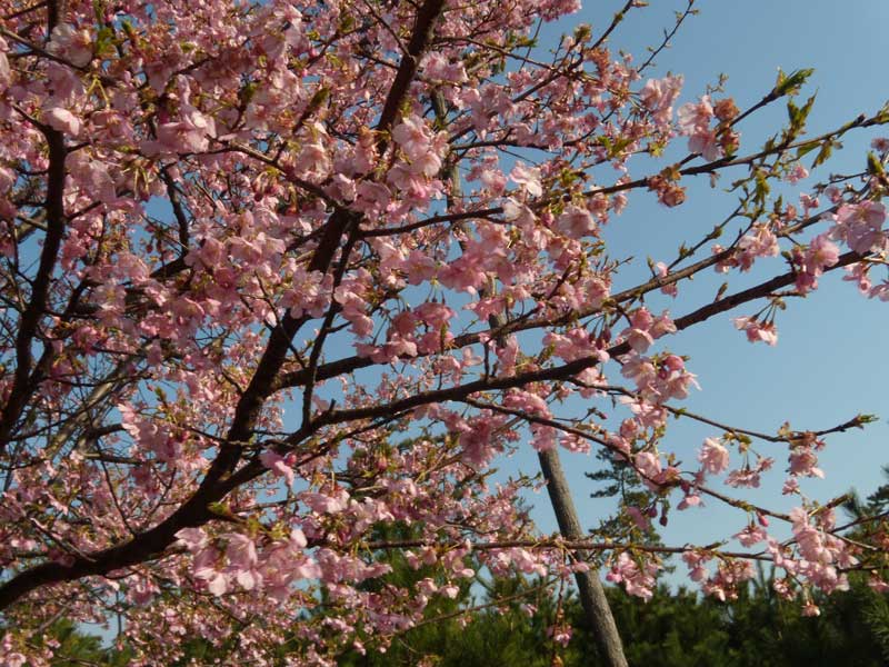 f:id:small_editor:20140317074039j:image