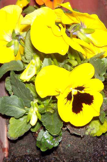 f:id:small_editor:20140324215244j:image