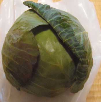 f:id:small_editor:20140923222538j:image