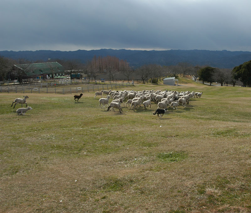 f:id:small_editor:20150103000211j:image