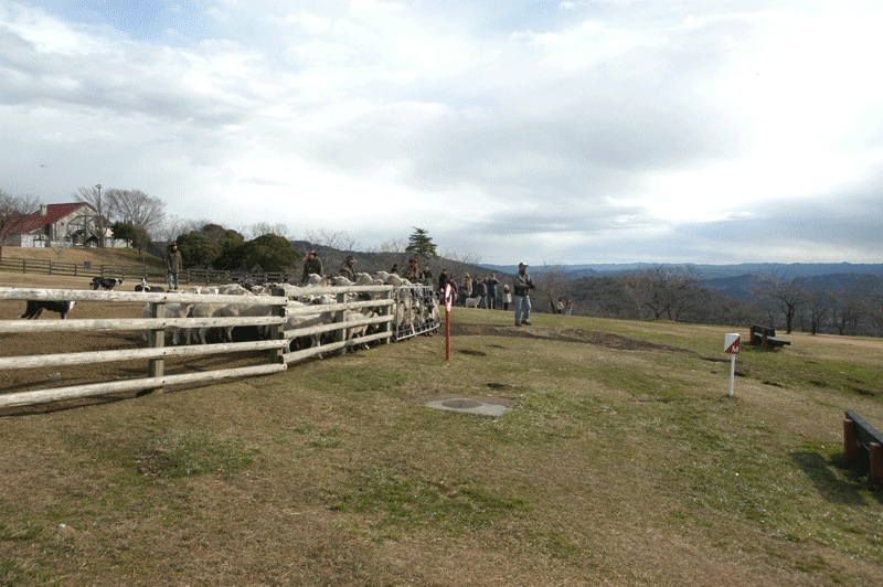 f:id:small_editor:20150103002516g:image