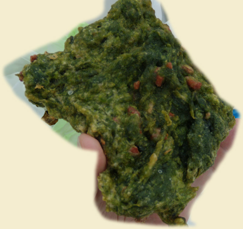 f:id:small_editor:20150219223241j:image