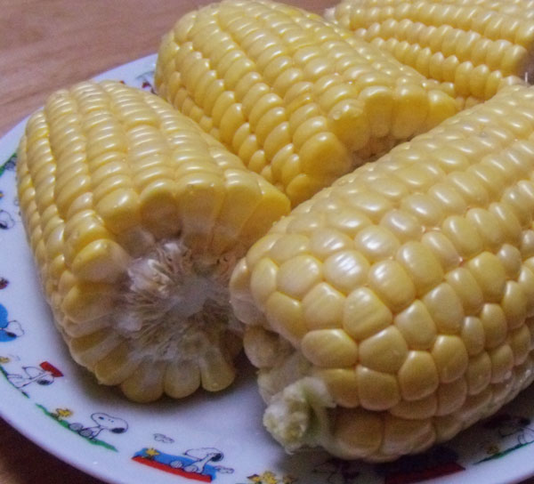 f:id:small_editor:20150530234941j:image