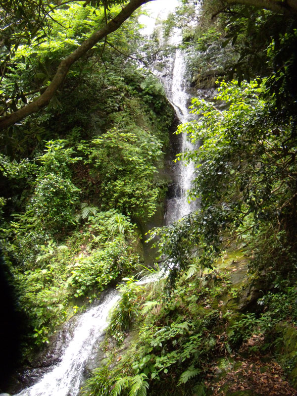 f:id:small_editor:20150617232319j:image