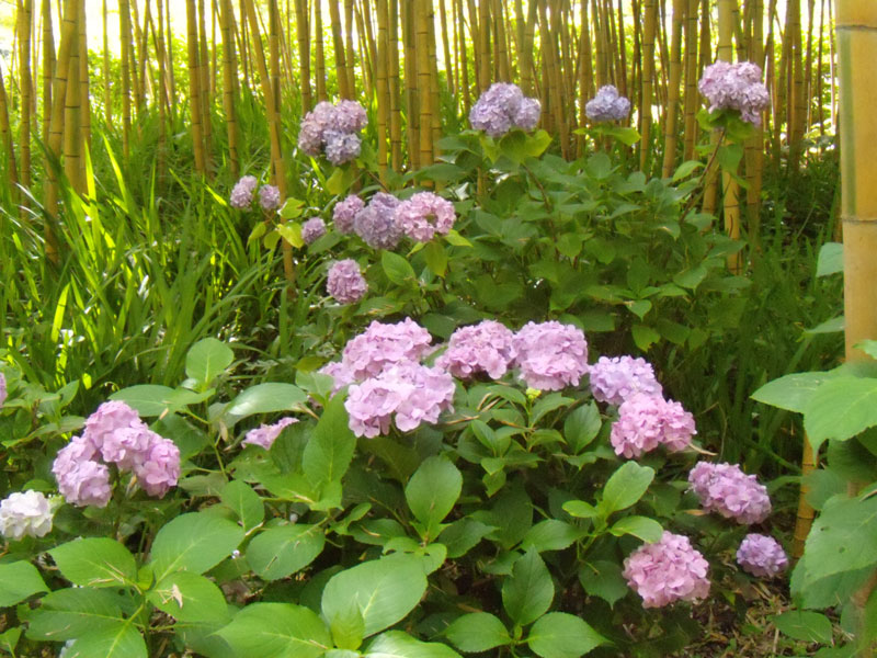 f:id:small_editor:20150620232019j:image