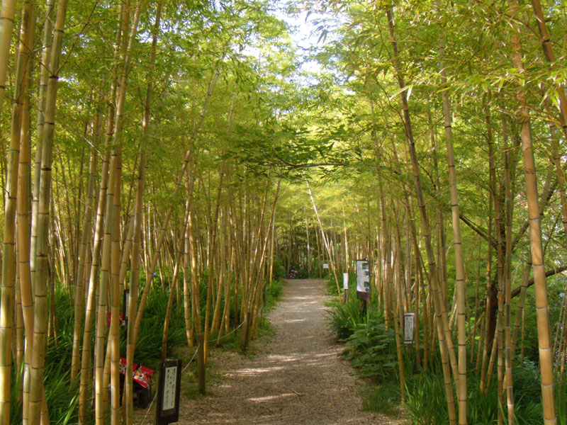 f:id:small_editor:20150620232020j:image