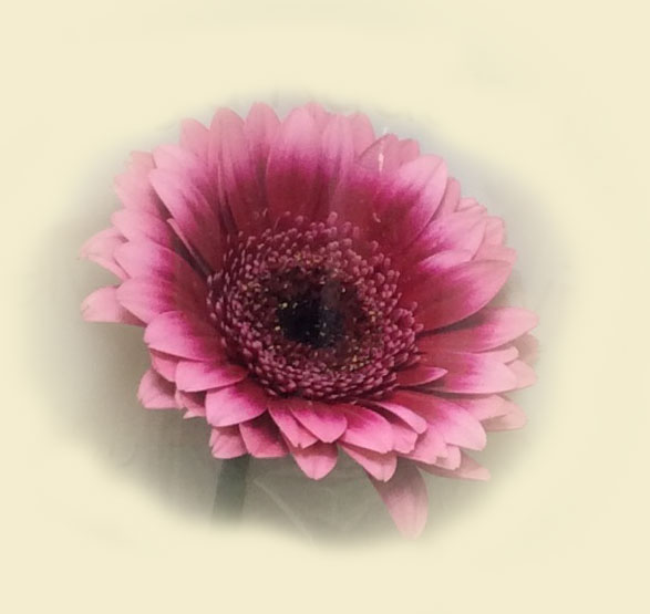 f:id:small_editor:20151225000626j:image