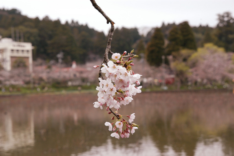 f:id:small_editor:20160403001936j:image