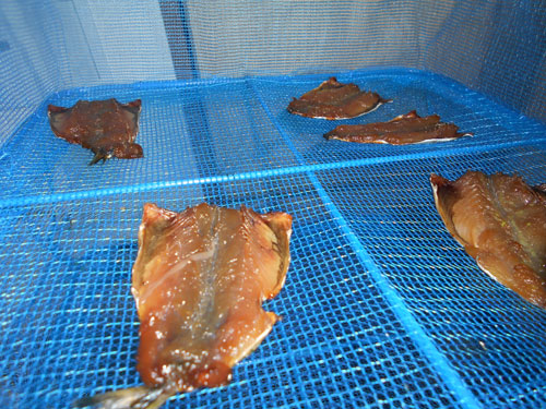 小サバはミリン干しがうまいぞ 今日の一語り