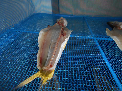 f:id:small_editor:20181212232429j:image