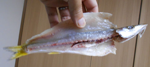 f:id:small_editor:20181212232430j:image