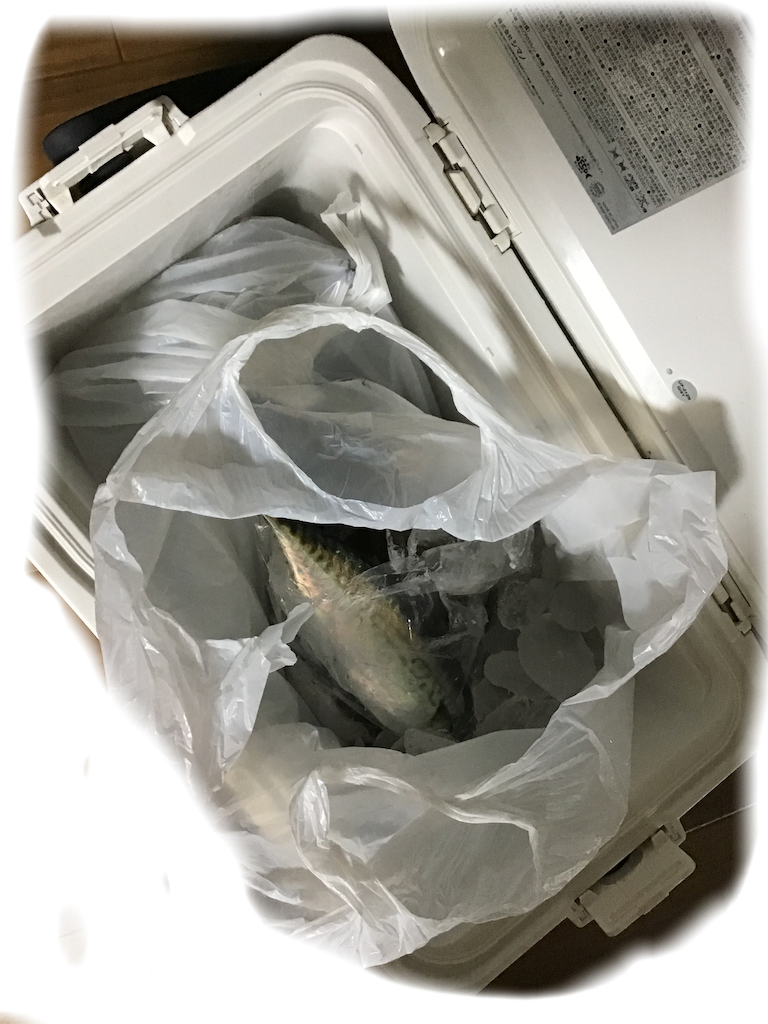 f:id:small_editor:20190615193011p:image f:id:small_editor:20190615193011p:image