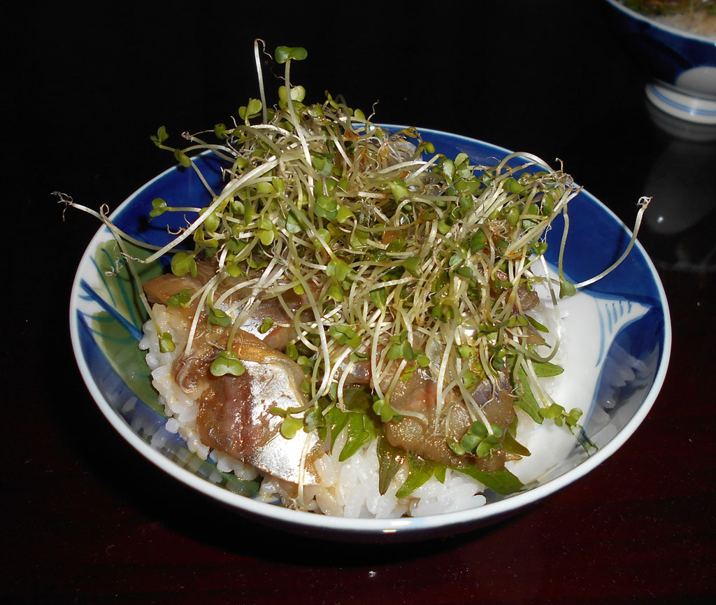f:id:small_editor:20190801233153j:plain