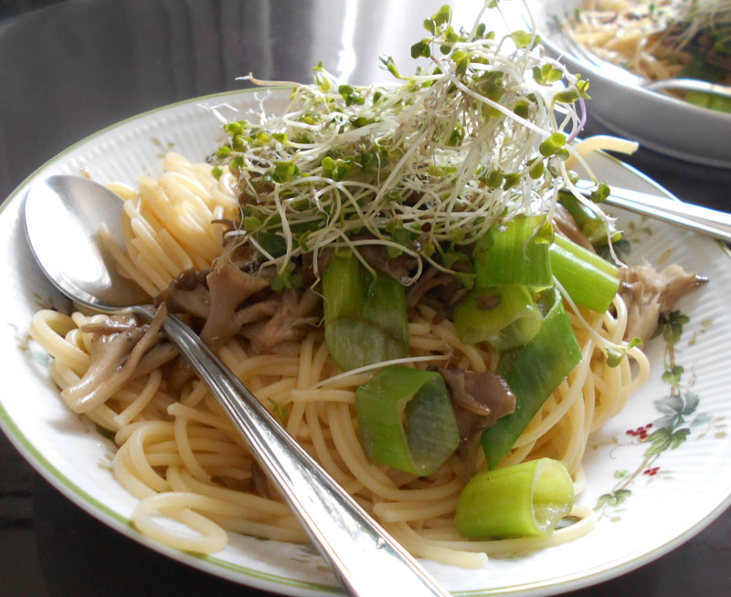 f:id:small_editor:20190803181942j:plain f:id:small_editor:20190803181942j:plain