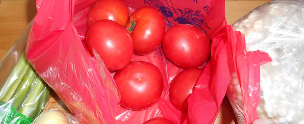 f:id:small_editor:20210411210944j:plain