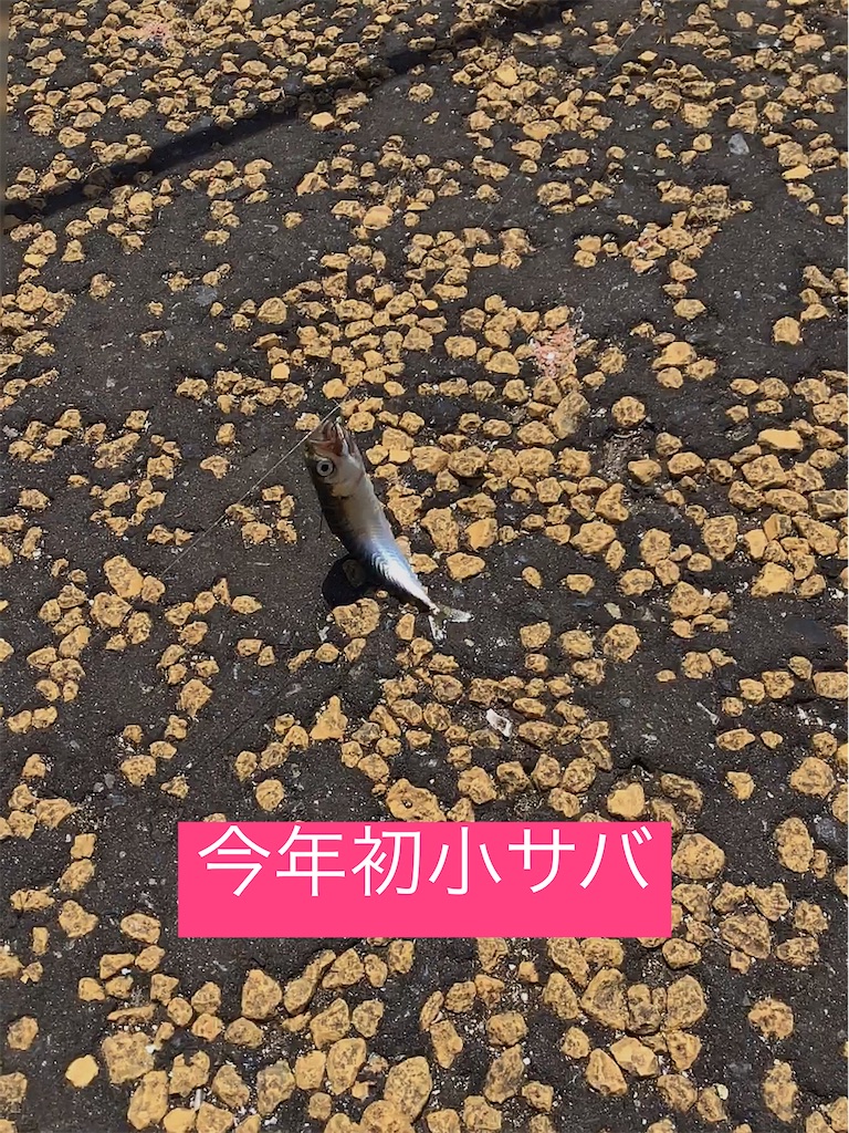 f:id:small_editor:20210516105452j:image