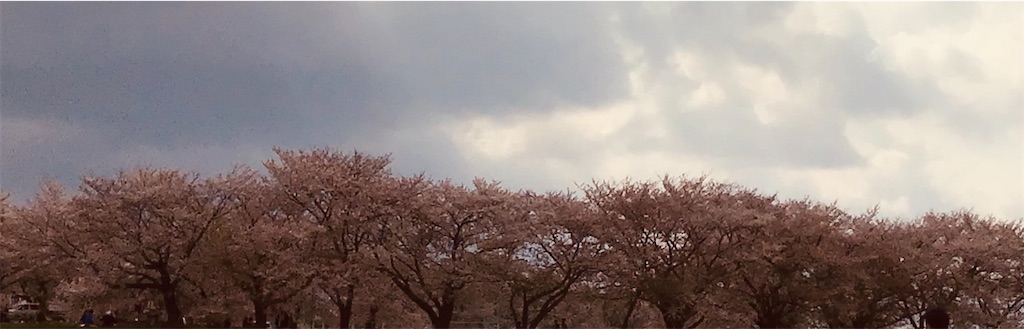 f:id:small_editor:20230402195215j:image