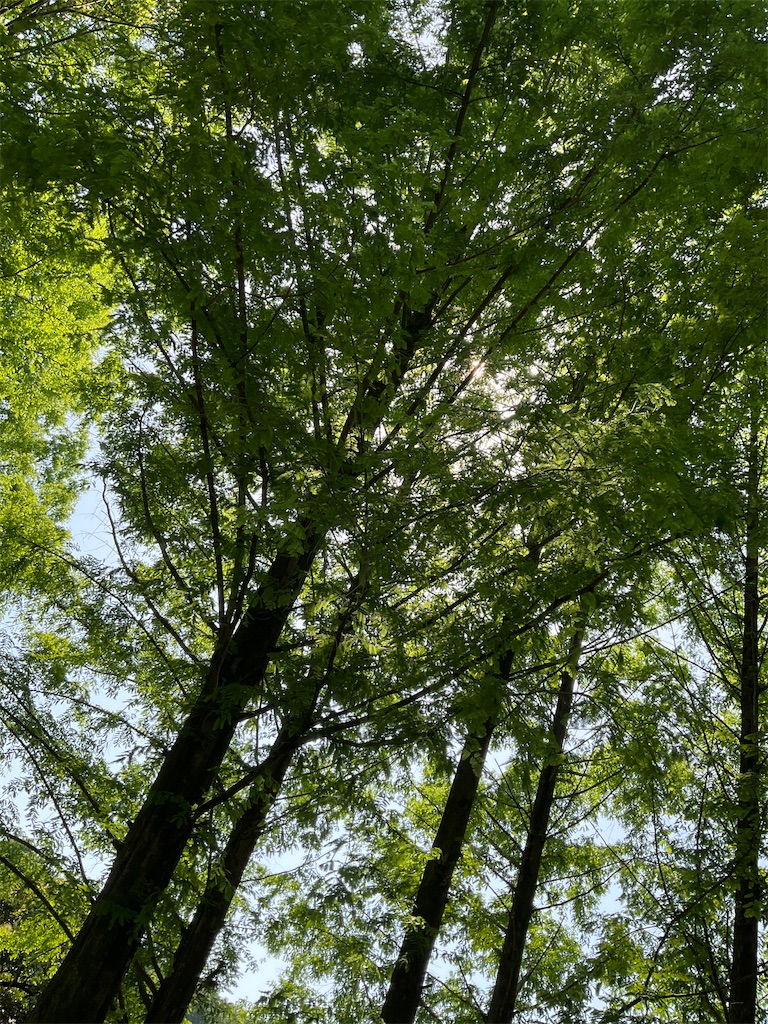 f:id:small_editor:20230504135826j:image
