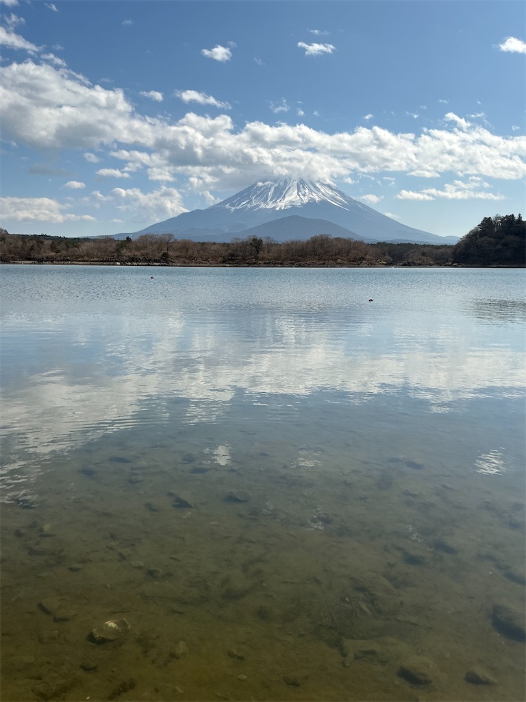 f:id:small_editor:20250302163808j:image
