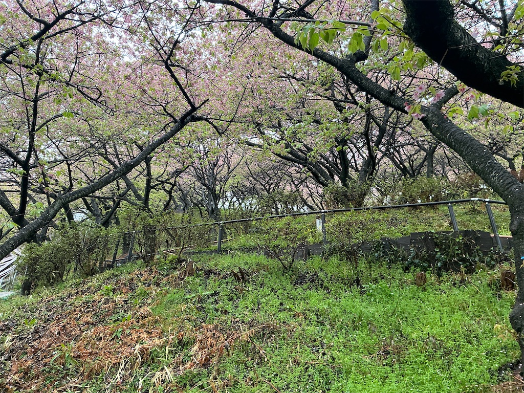 f:id:small_editor:20250316175428j:image