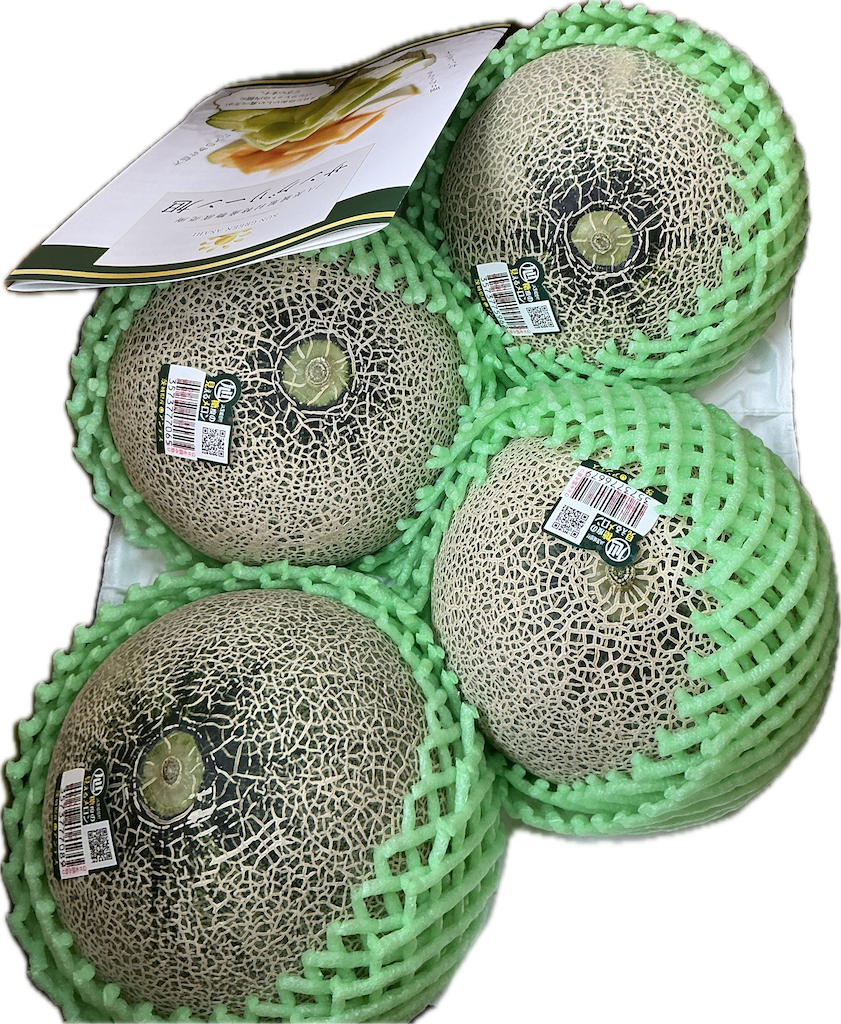 f:id:small_editor:20250525152753p:image