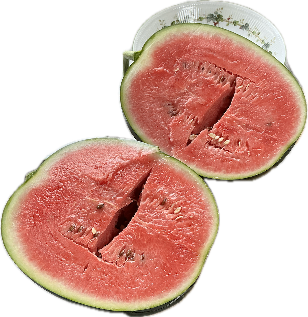 f:id:small_editor:20250629204018p:image