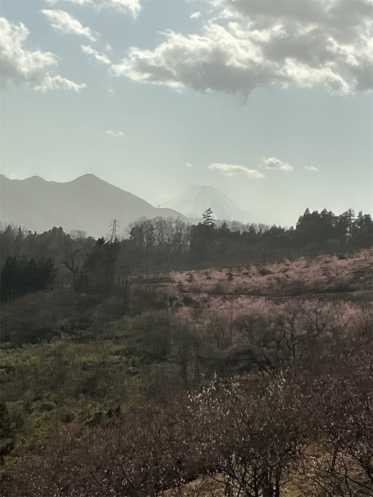 f:id:small_editor:20260228190718j:image