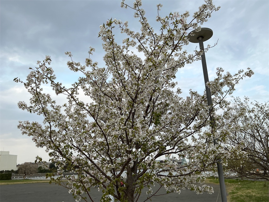 f:id:small_editor:20260329211310j:image