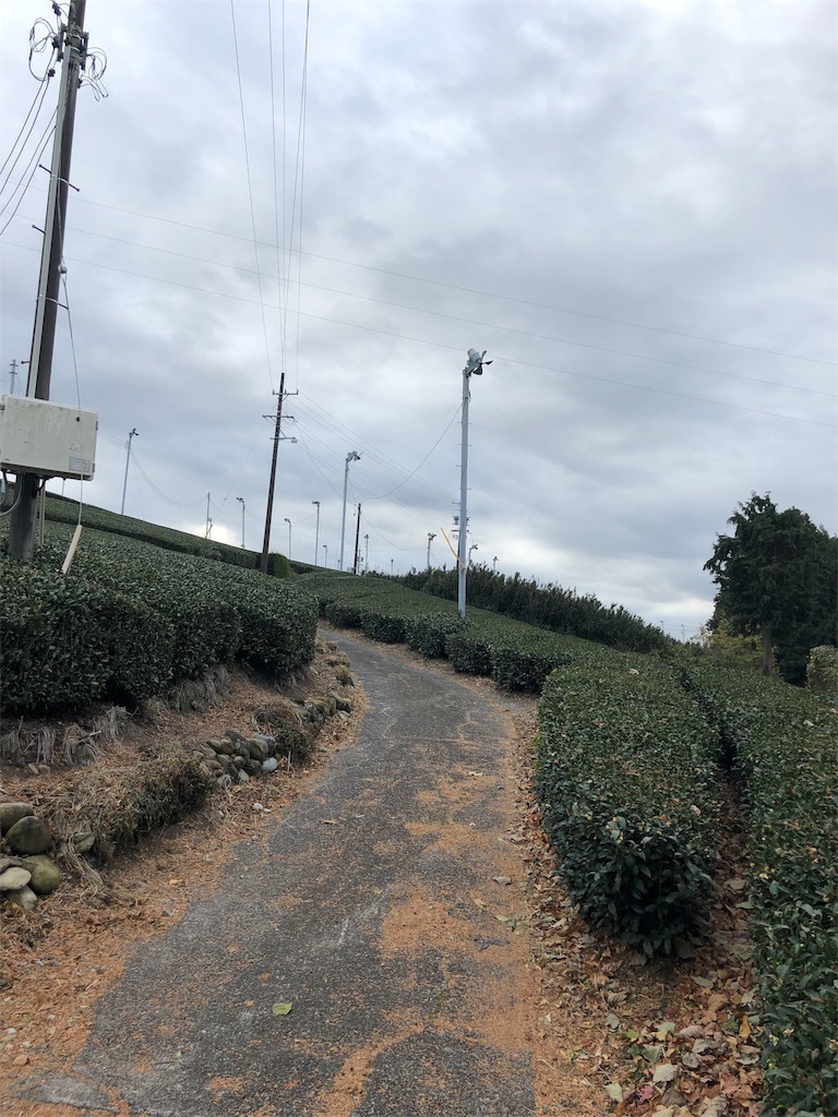 f:id:smallfieldphilo:20171215160227j:image f:id:smallfieldphilo:20171215160227j:image