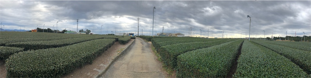 f:id:smallfieldphilo:20171215160315j:image f:id:smallfieldphilo:20171215160315j:image