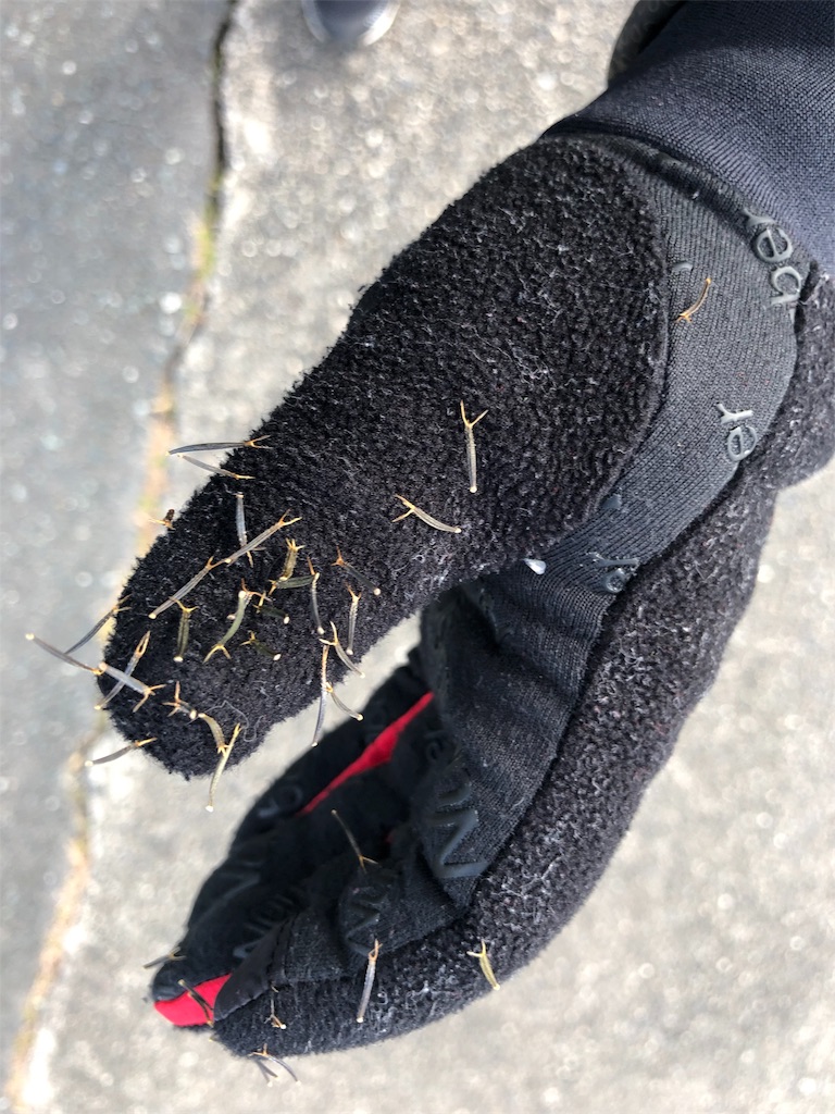 f:id:smallfieldphilo:20171215161038j:image