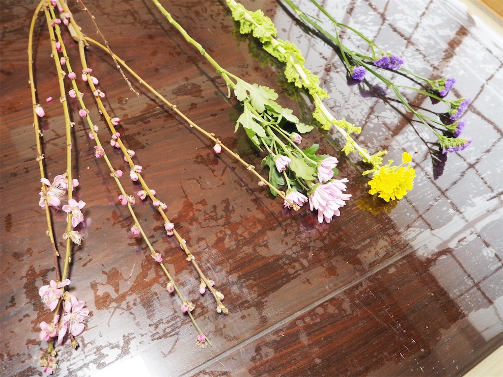 f:id:smallforest8:20200229093726j:image