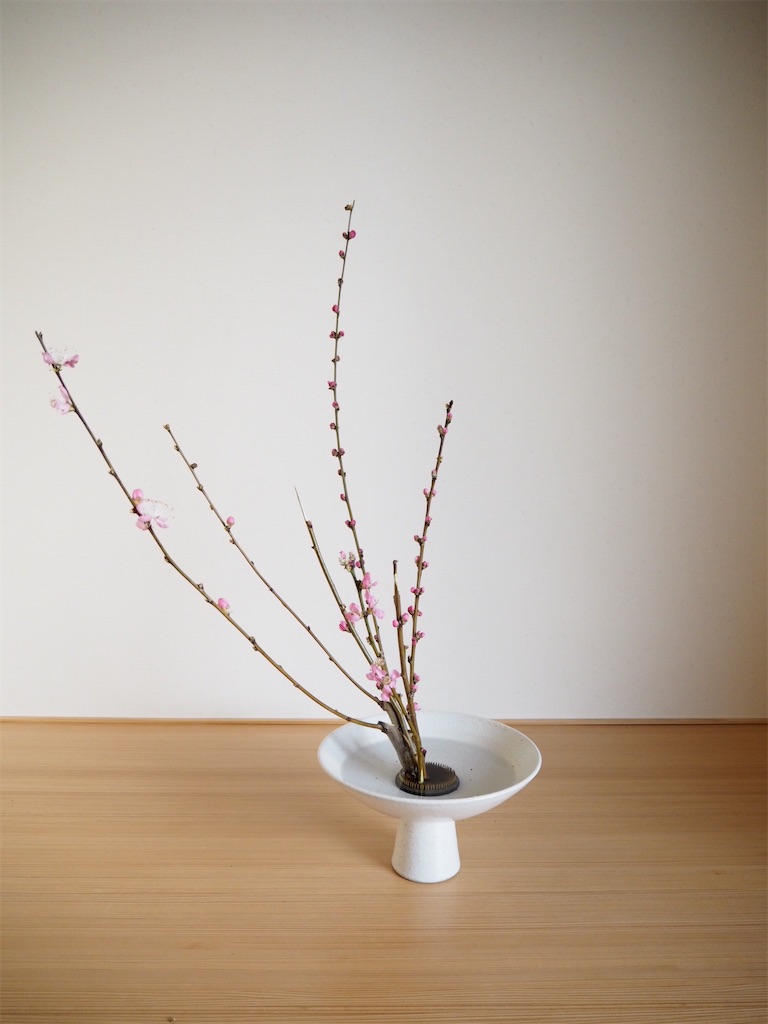 f:id:smallforest8:20200229095157j:image