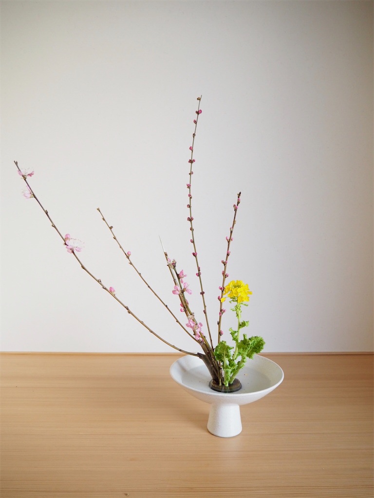 f:id:smallforest8:20200229095329j:image